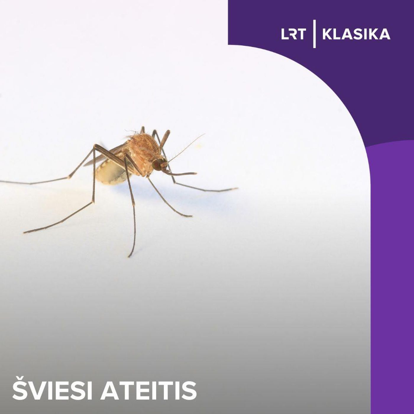 Pavojingiausias gyvūnas žmogui: kovai su uodais pasitelkiama ir genų modifikacija