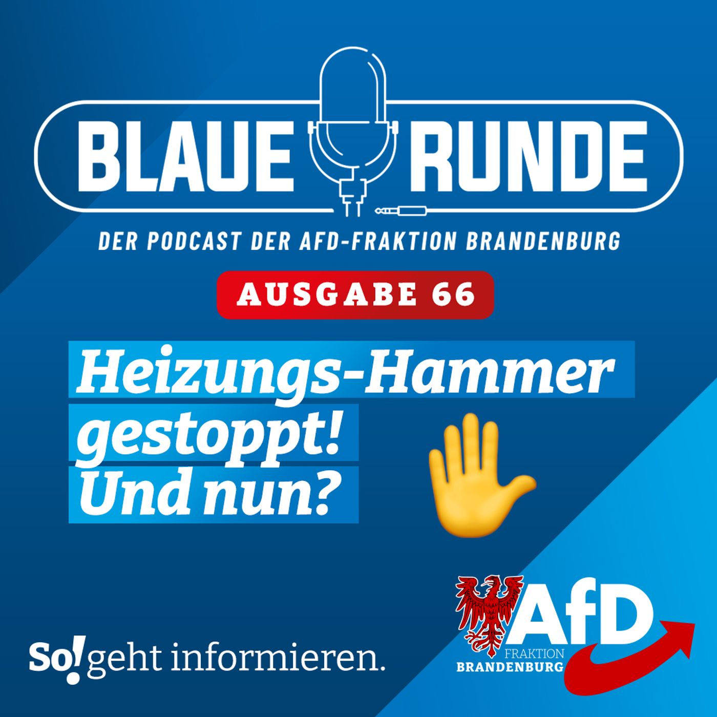 Heizungs-Hammer gestoppt. Und nun? | Die Blaue Runde, Ausgabe 66/23 vom 08. Juli 2023 episode artwork