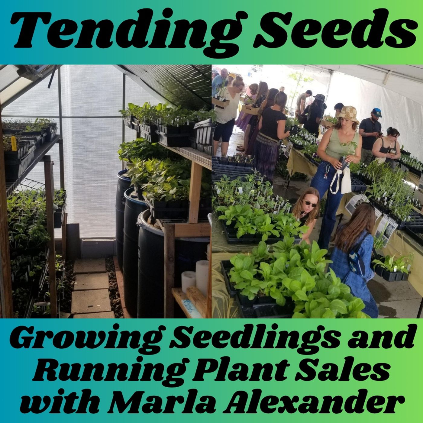 Ep 69 - Growing Seedlings and Running Plant Sales w Marla Alexander