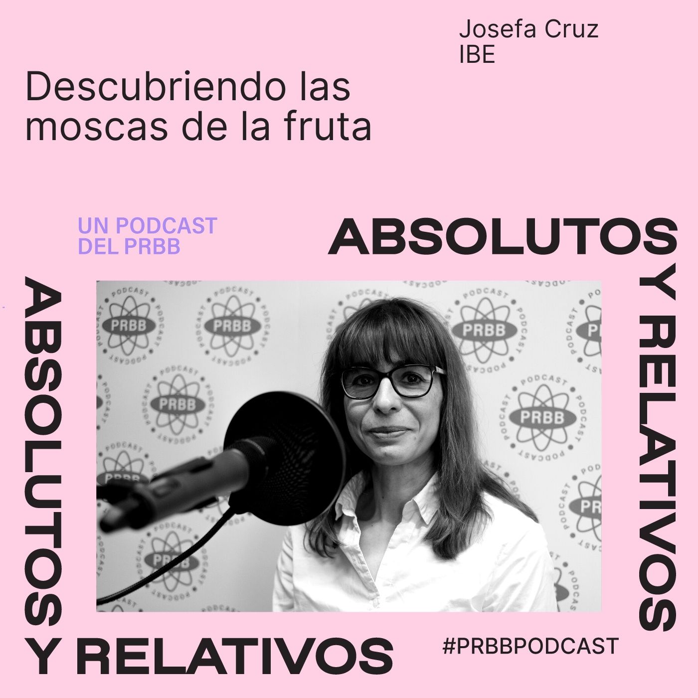 Absolutos y Relativos