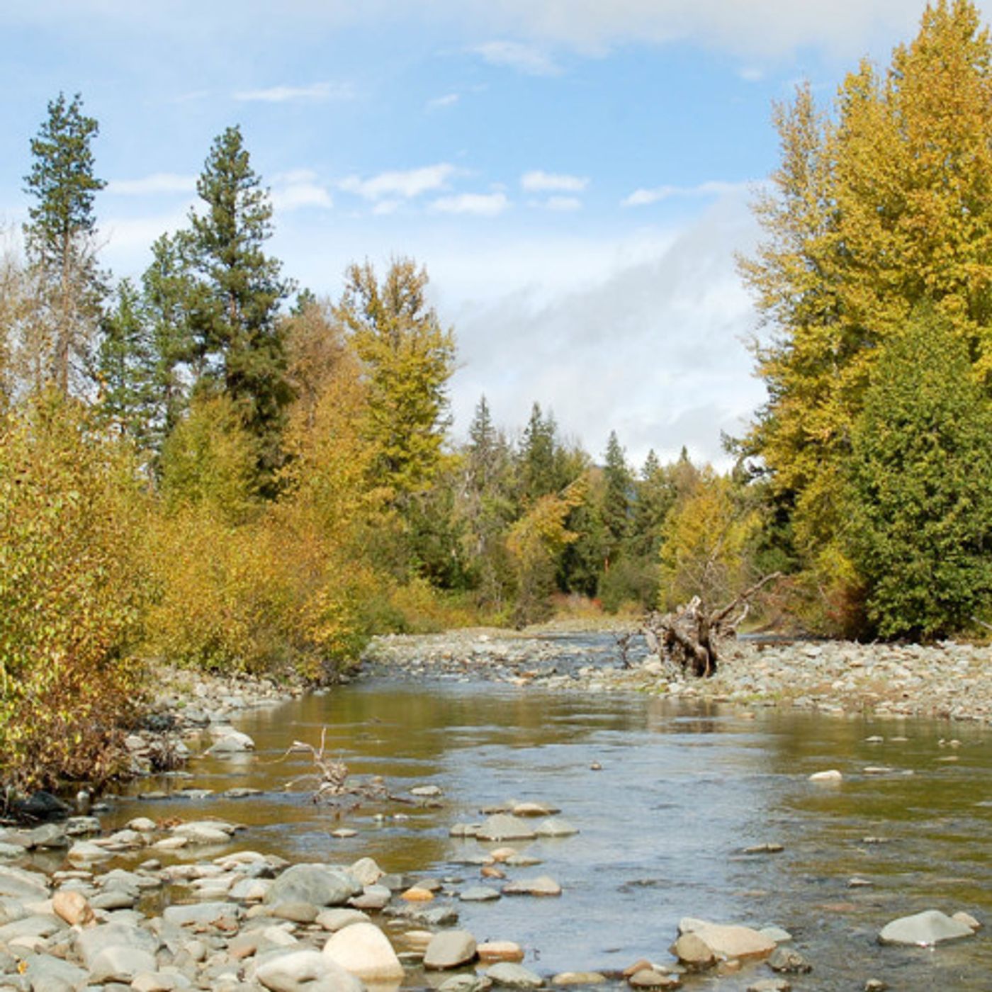 A Land Deal To Conserve Central Wash. Water And  Wildlife episode artwork