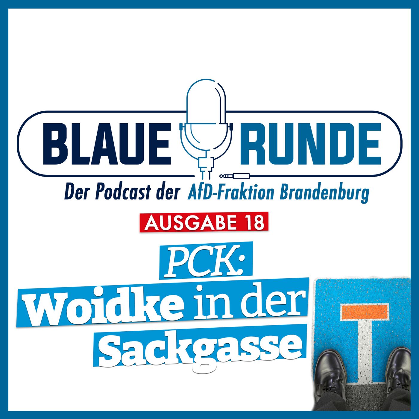 Die Blaue Runde - der Podcast der AfD-Fraktion Brandenburg