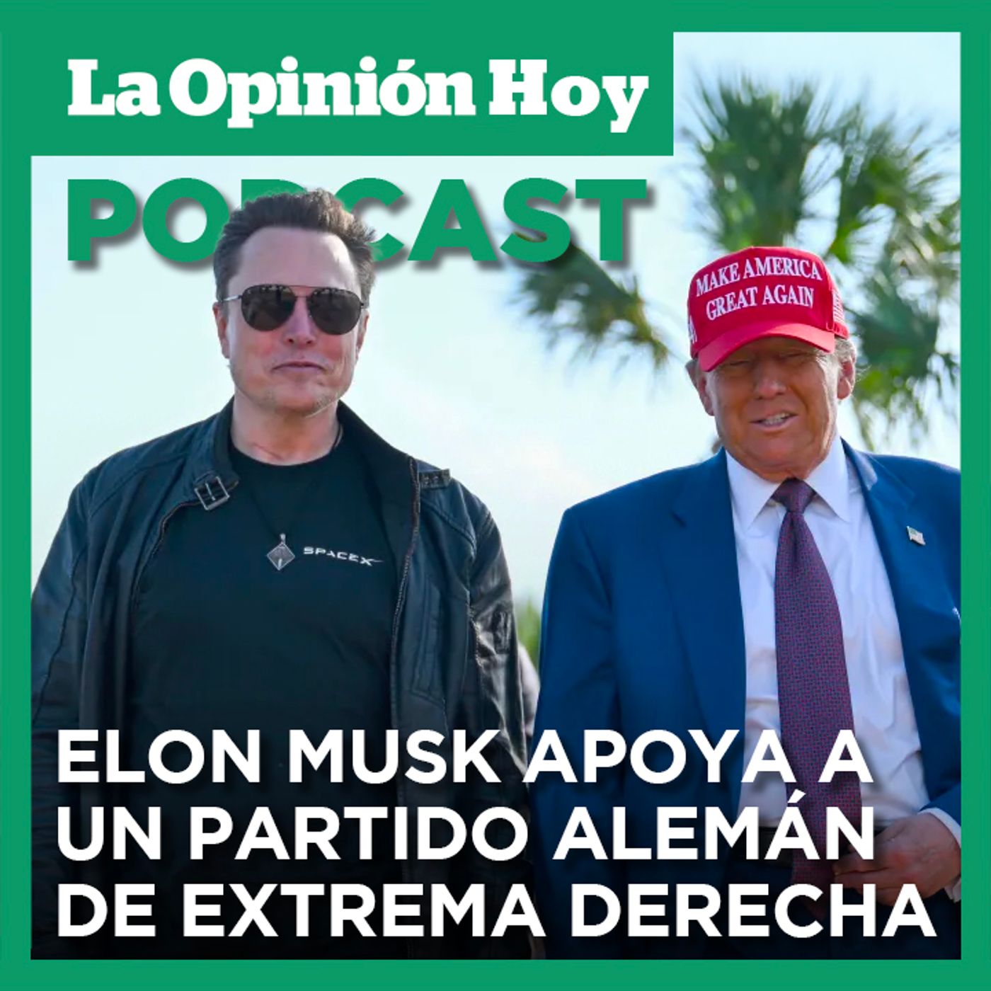 Elon Musk publicó un artículo de opinión apoyando a un partido alemán de extrema derecha.