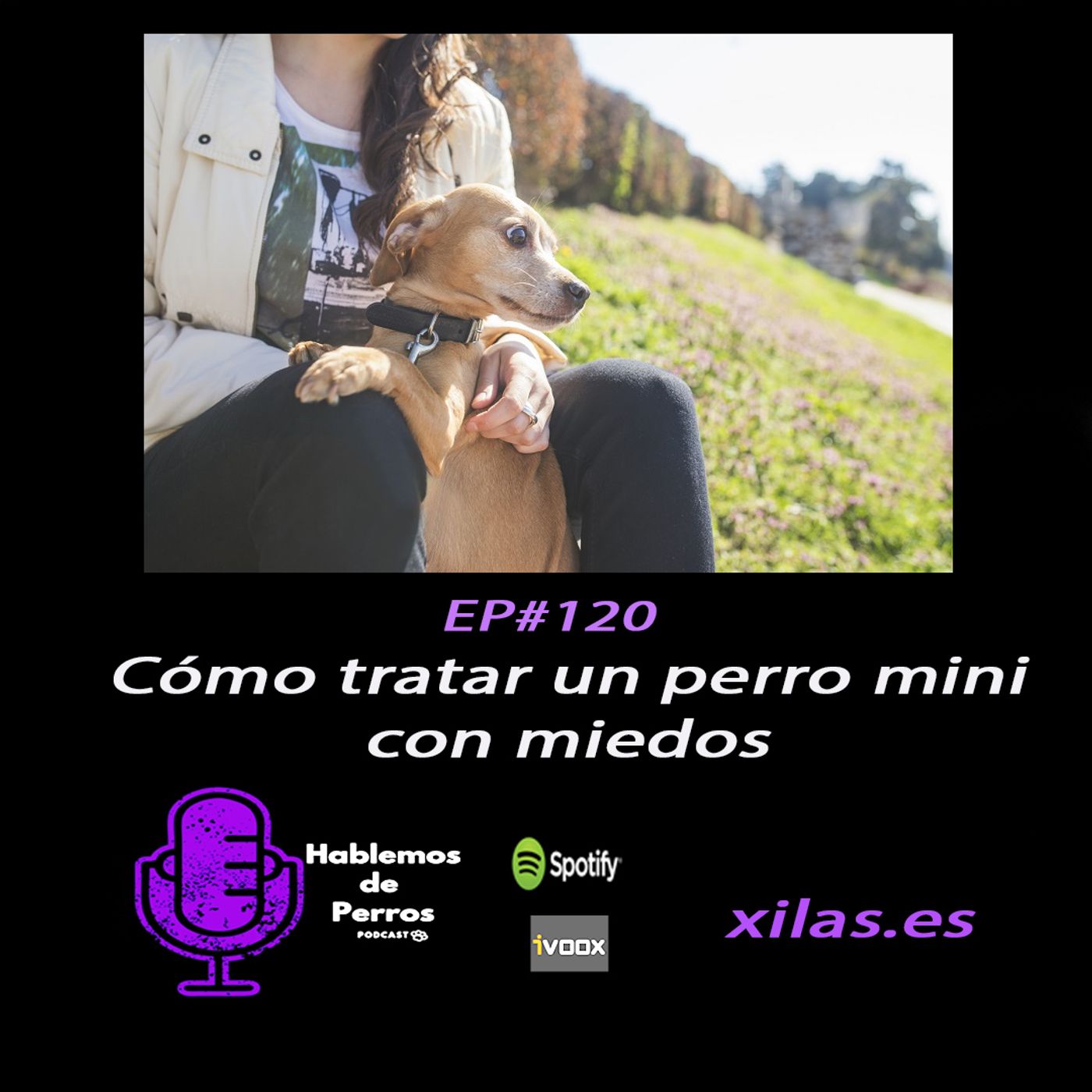 Hablemos de perros