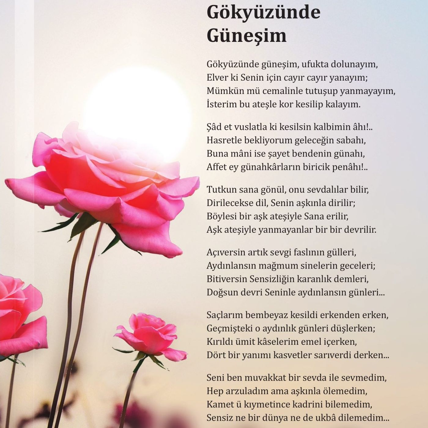 Gökyüzünde Güneşim episode artwork