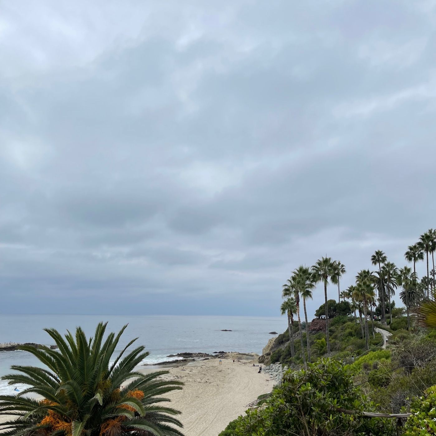 The Women Of The Bible Speak.