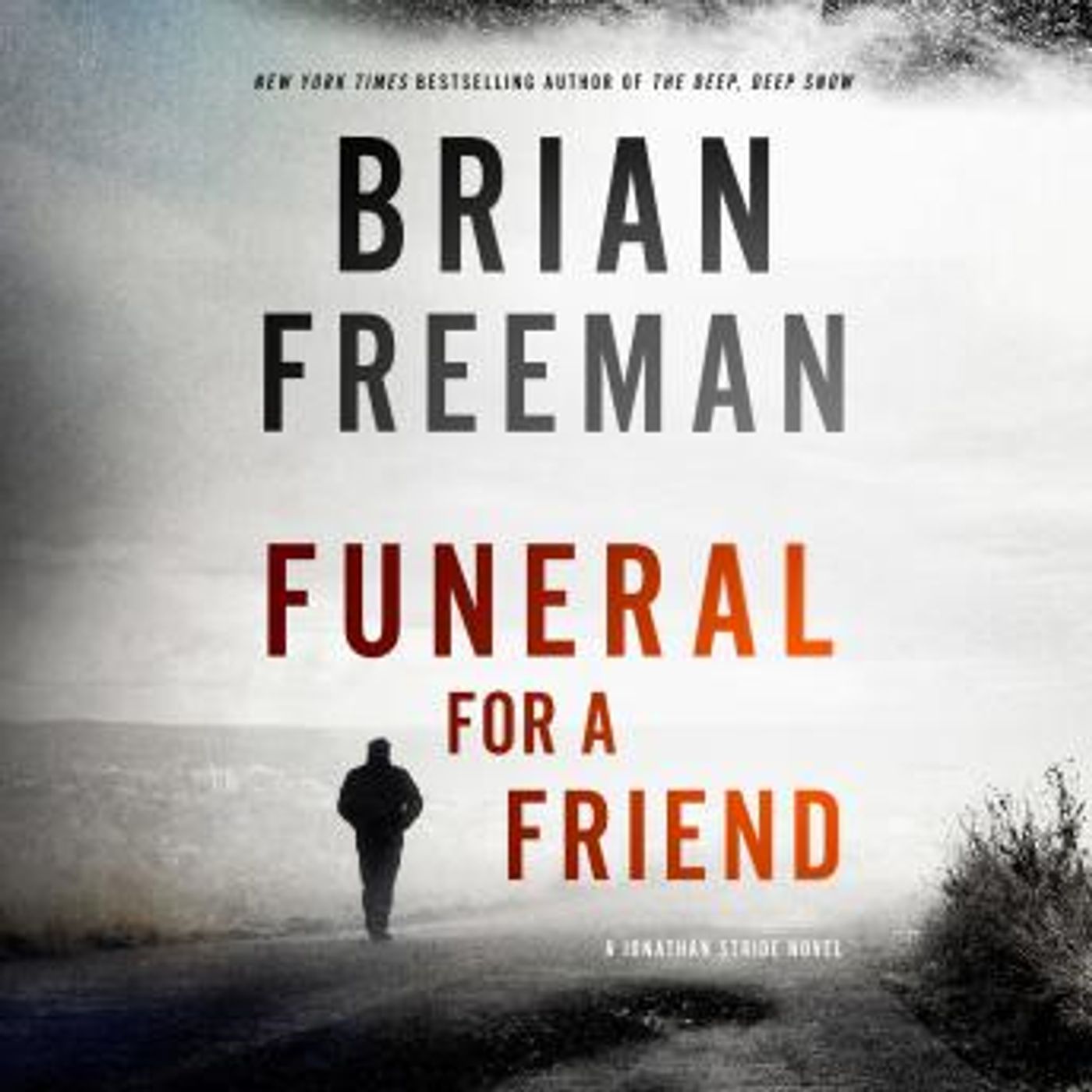 Best Audio Stories in Mystery, Thriller & Horror, Police & Detective