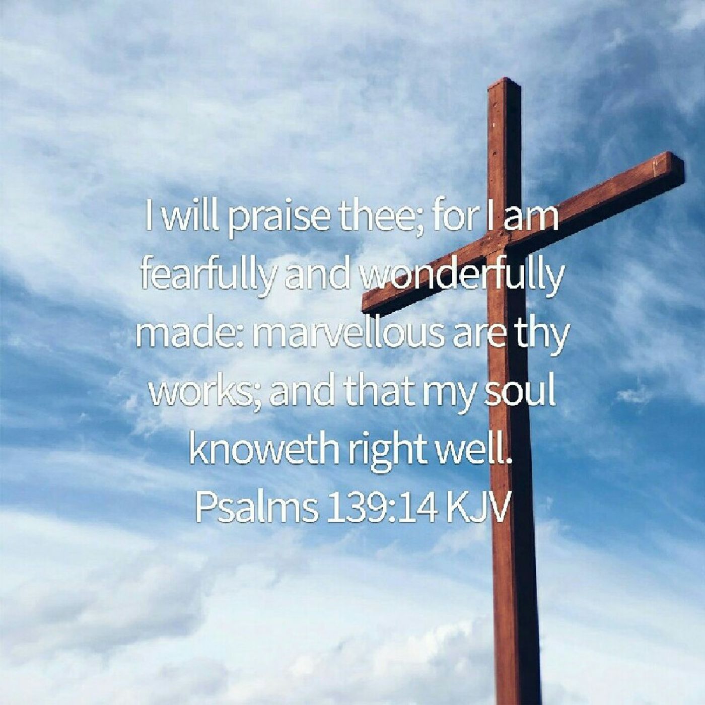 Life In The Word