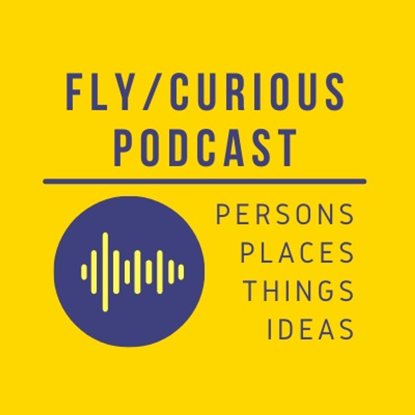 Fly/Curious