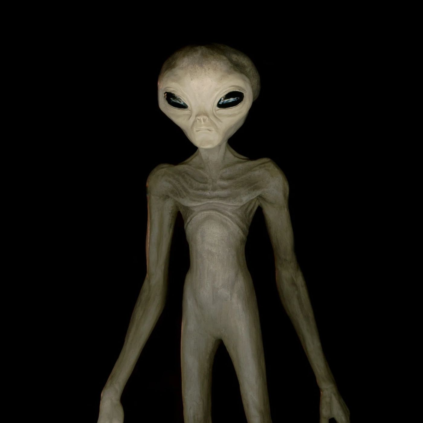 #Toscanella Gli alieni esistono!