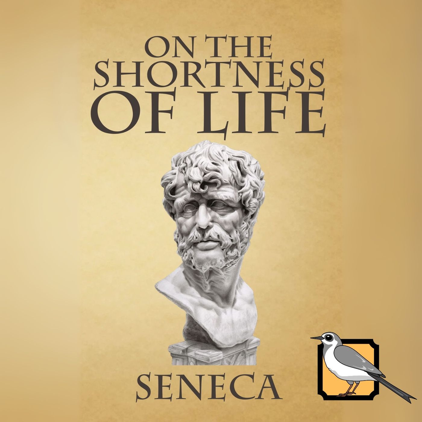 On the Shortness of Life (Seneca) | Full Audiobook