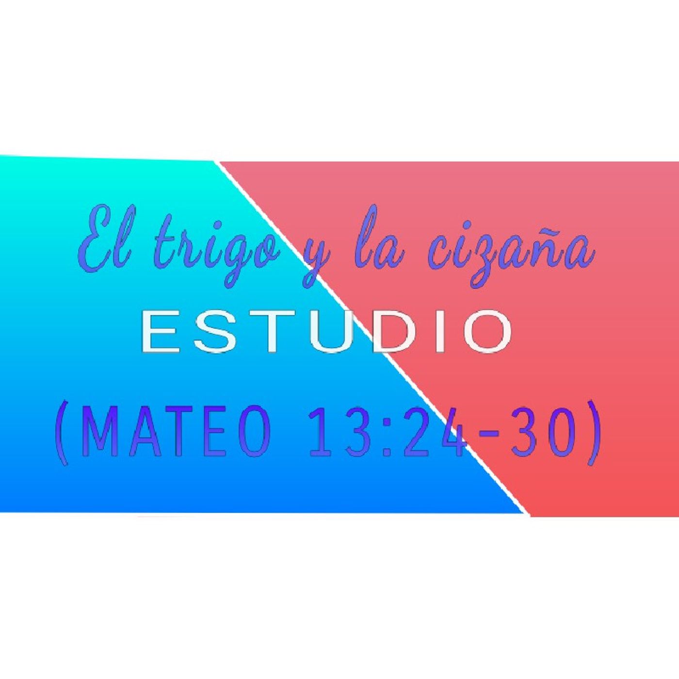 COMENTANDO LA BIBLIA HOY