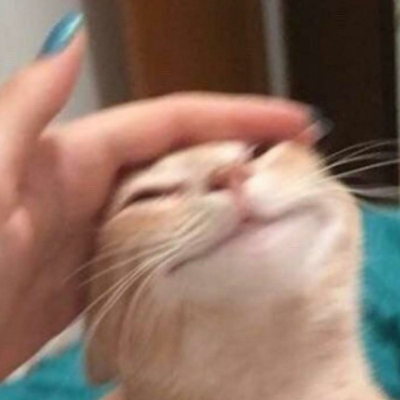 Gobit Arası Ses Deneme