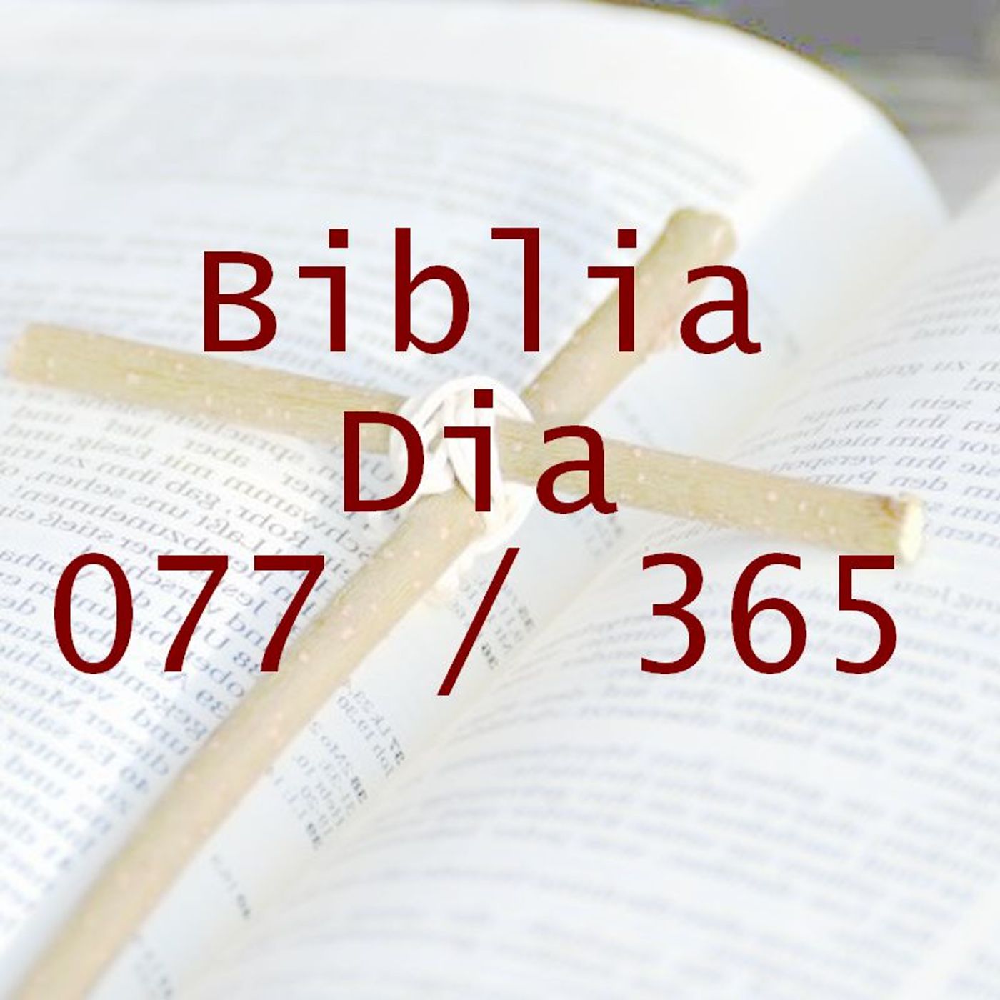 La Biblia en 365 dias