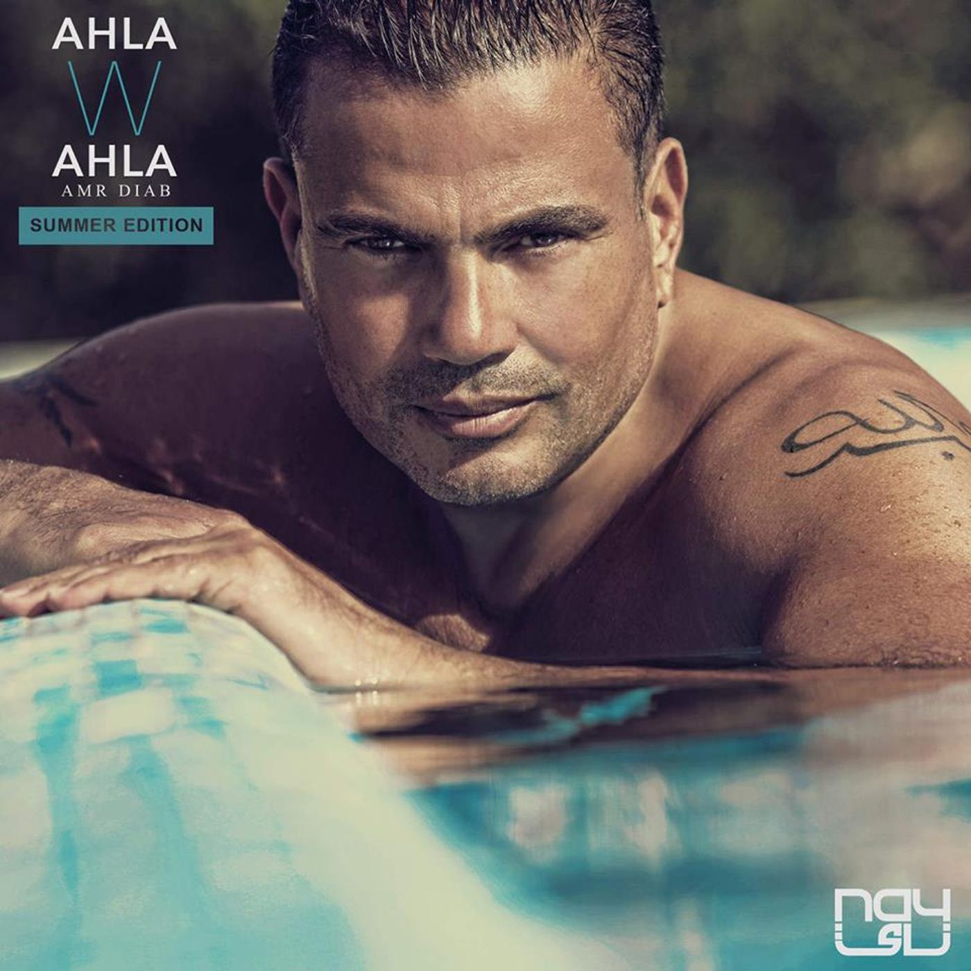 Amr Diab 2016