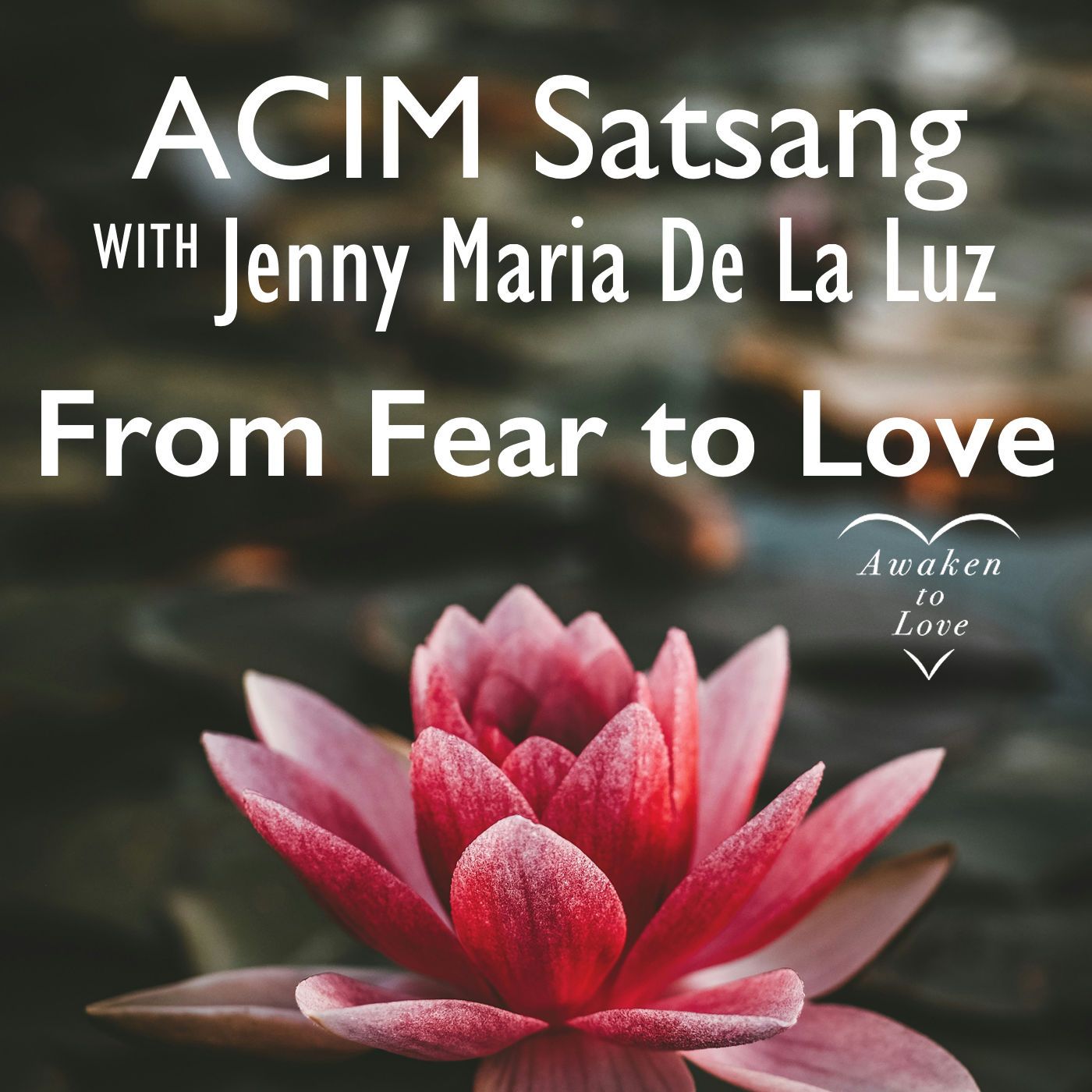 From Fear to Love, ACIM Satsang, A Course in Miracles, (Meditation, Talk & Sharing) 💗