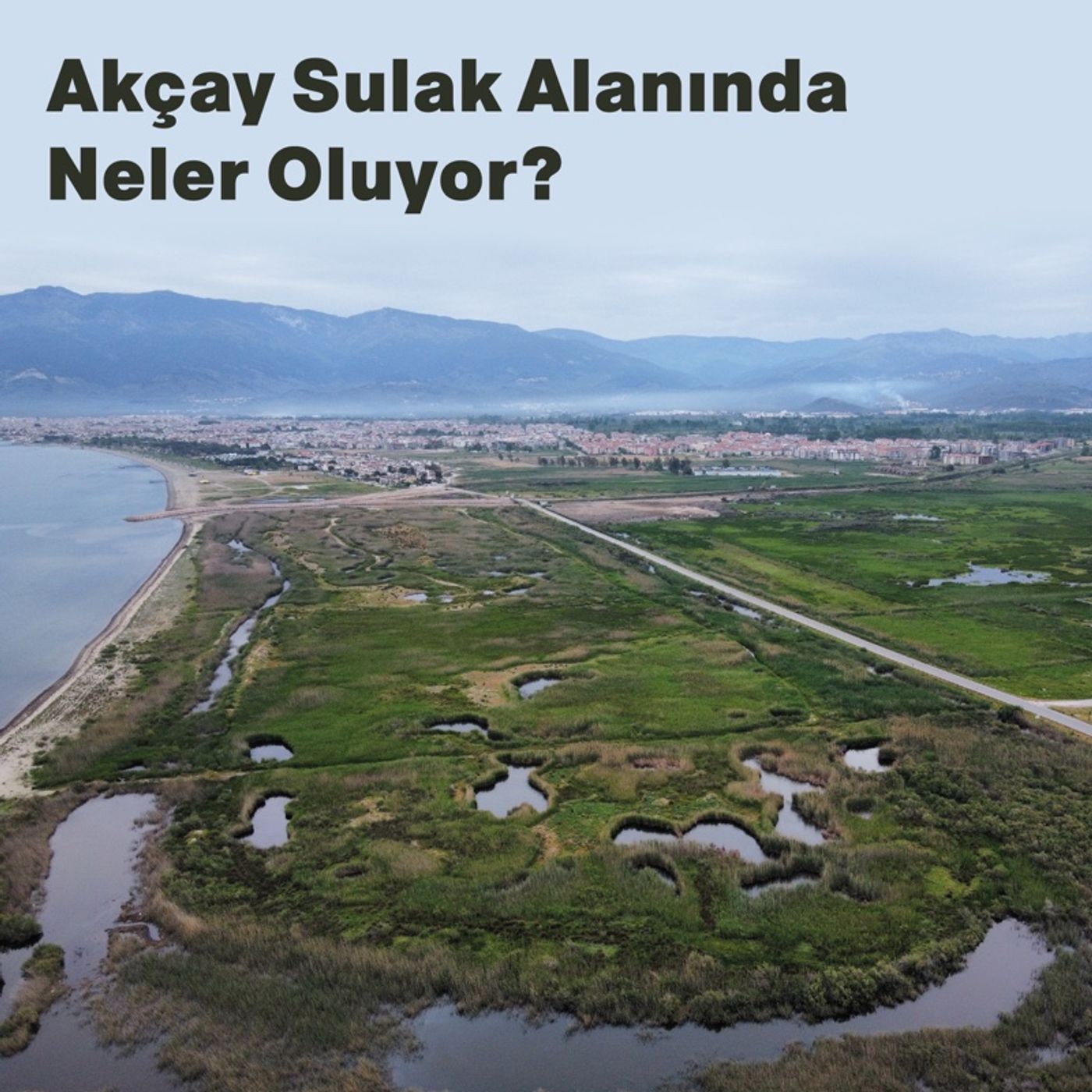 Akçay Sulak Alanında Neler Oluyor? episode artwork