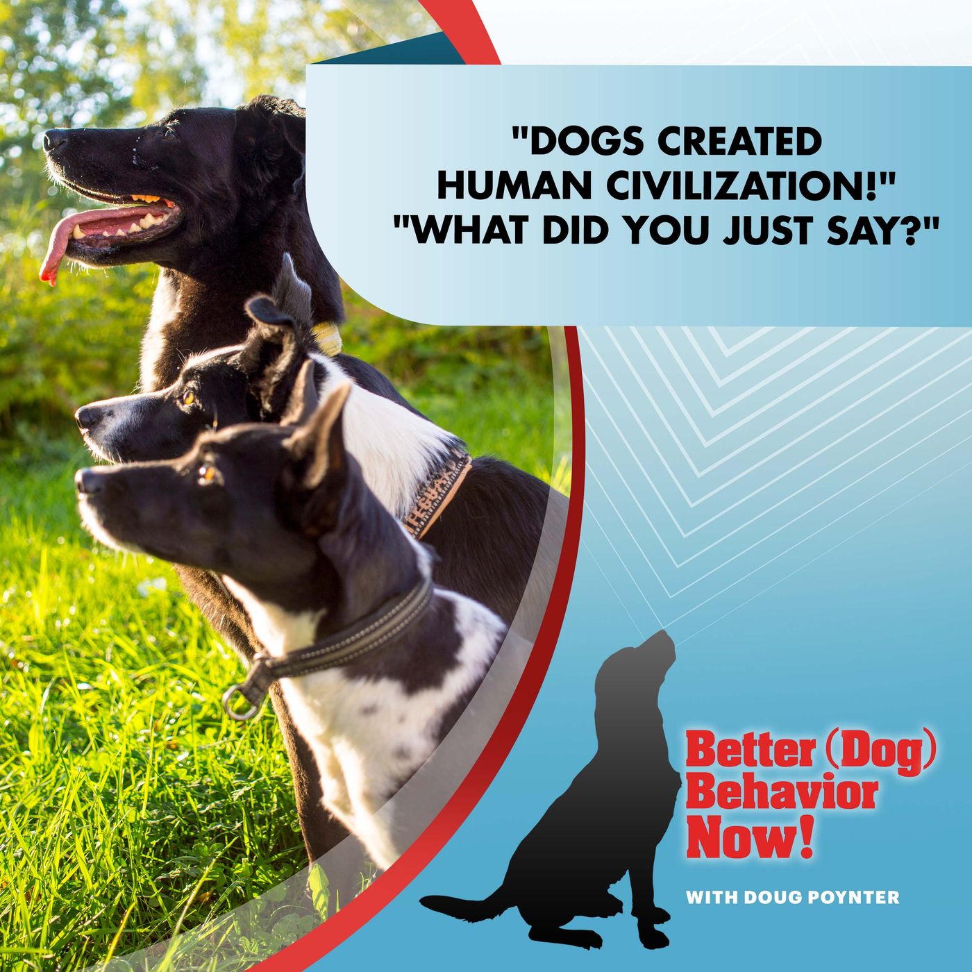 "Dogs Created Human Civilization!" "What Did You Just Say?" episode artwork