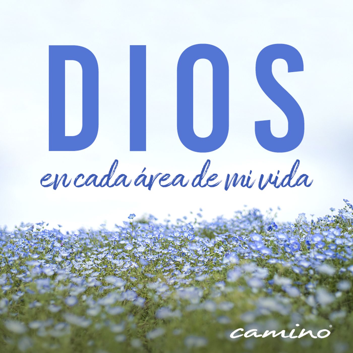 Oración 31 de julio (Dios en cada área de mi vida) episode artwork