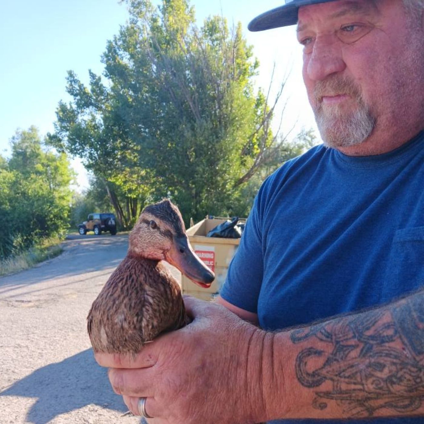 Duck rescued from fishing line at Spring Lake should remind us all to do better episode artwork