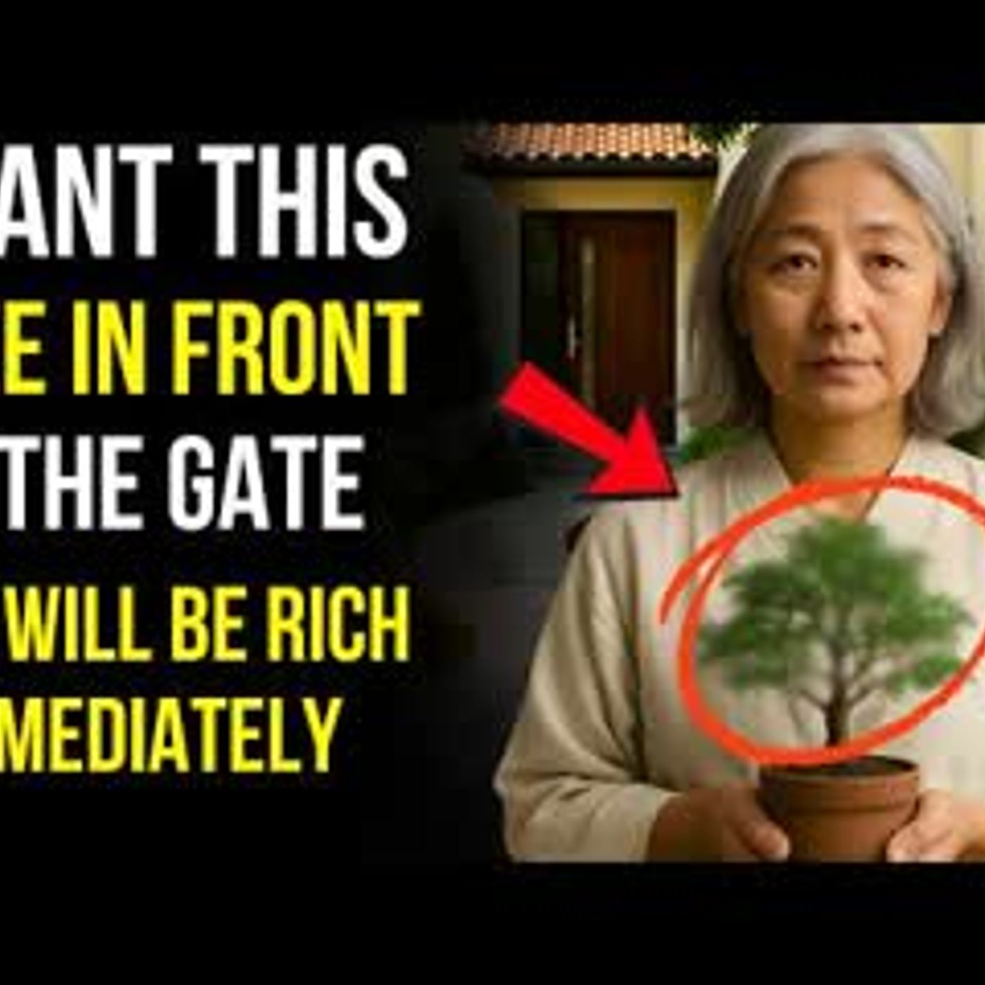 Plant This Tree at Your Gate, and Money Will Flow into Your Home - Buddhist Teachings