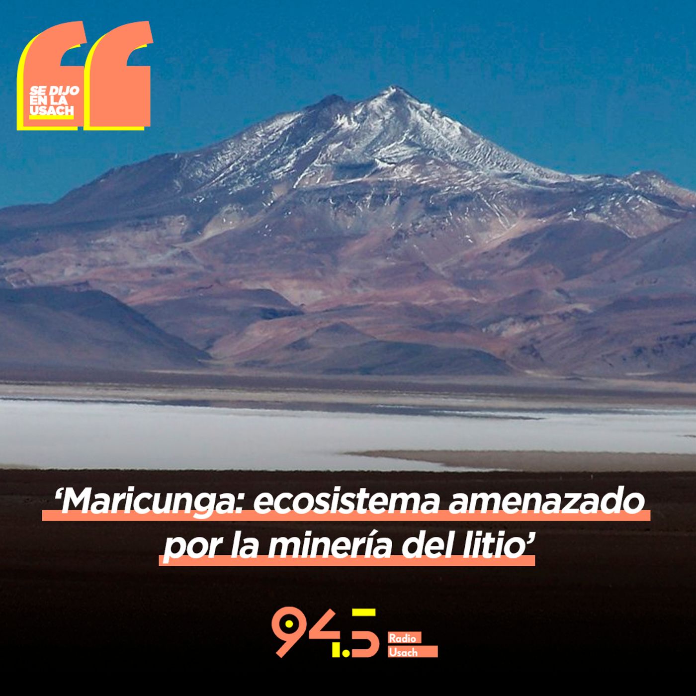 Se dijo en la Usach
