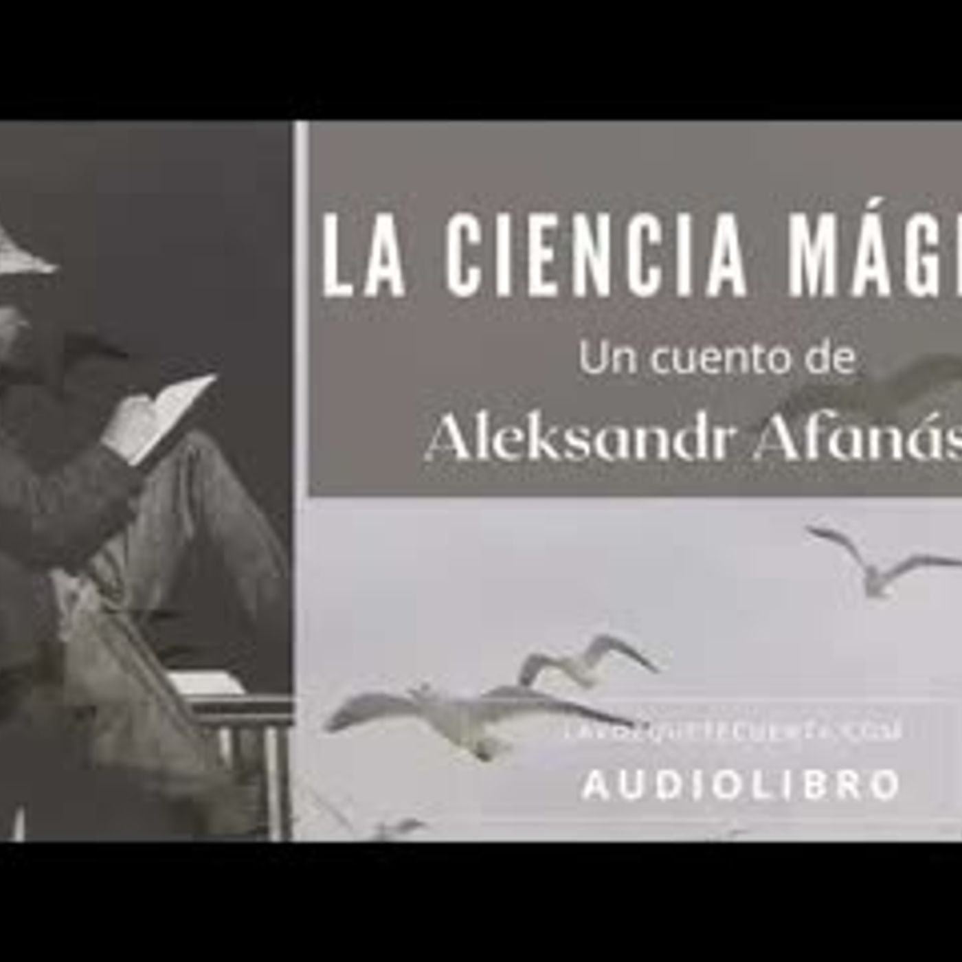 Audiolibro En Español