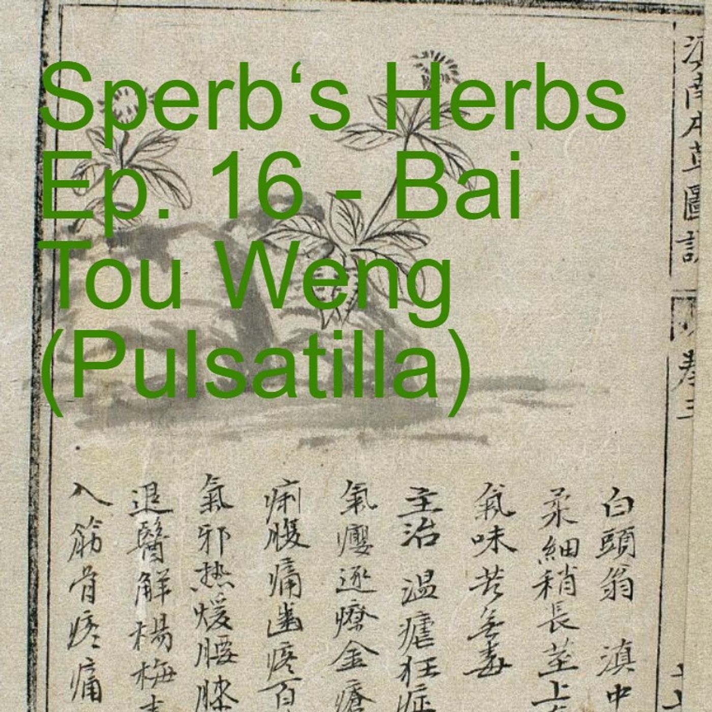 Sperb\'s Herbs Podcast