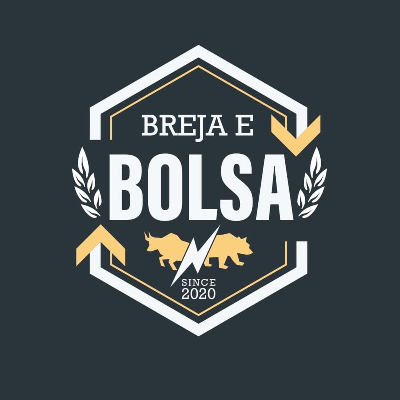 Breja e Bolsa