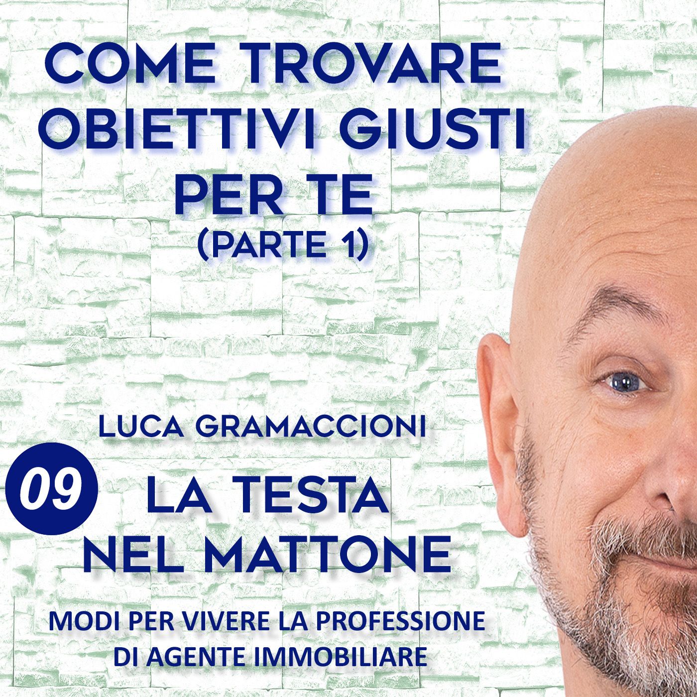 LA TESTA NEL MATTONE