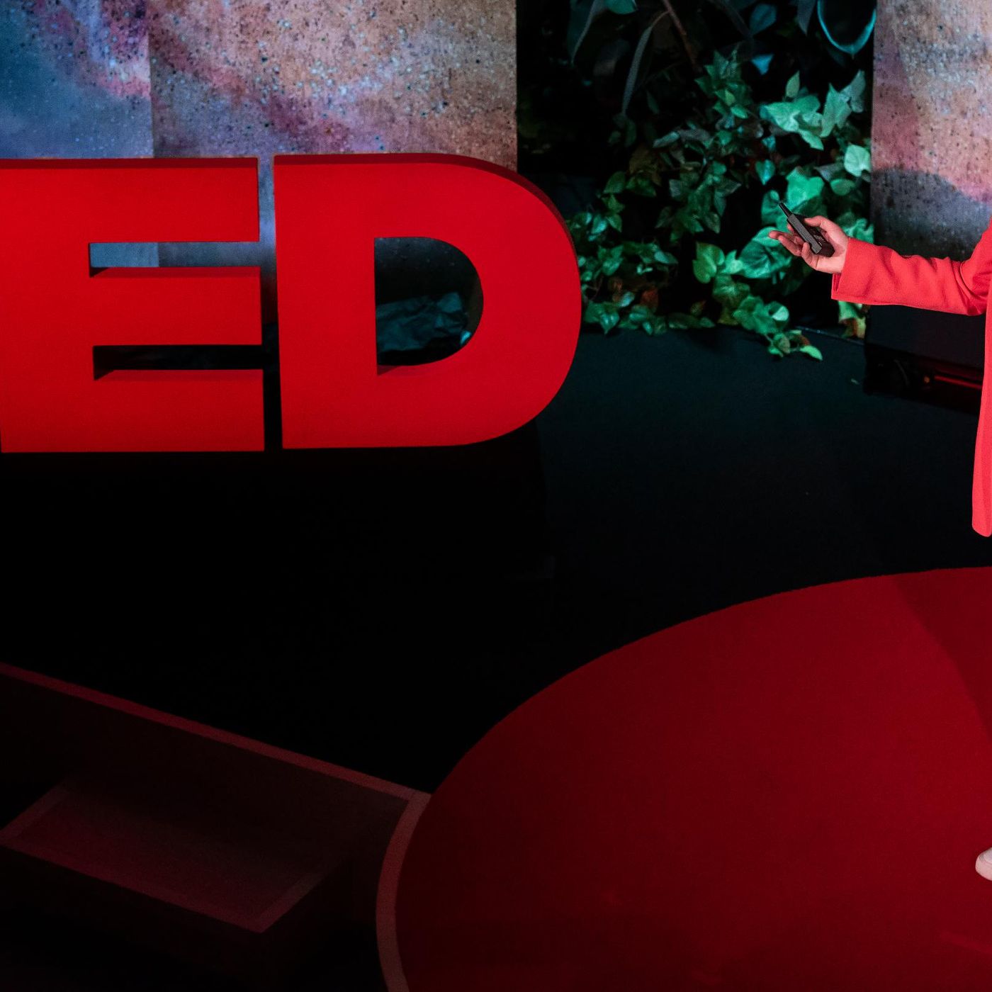 TED Talks