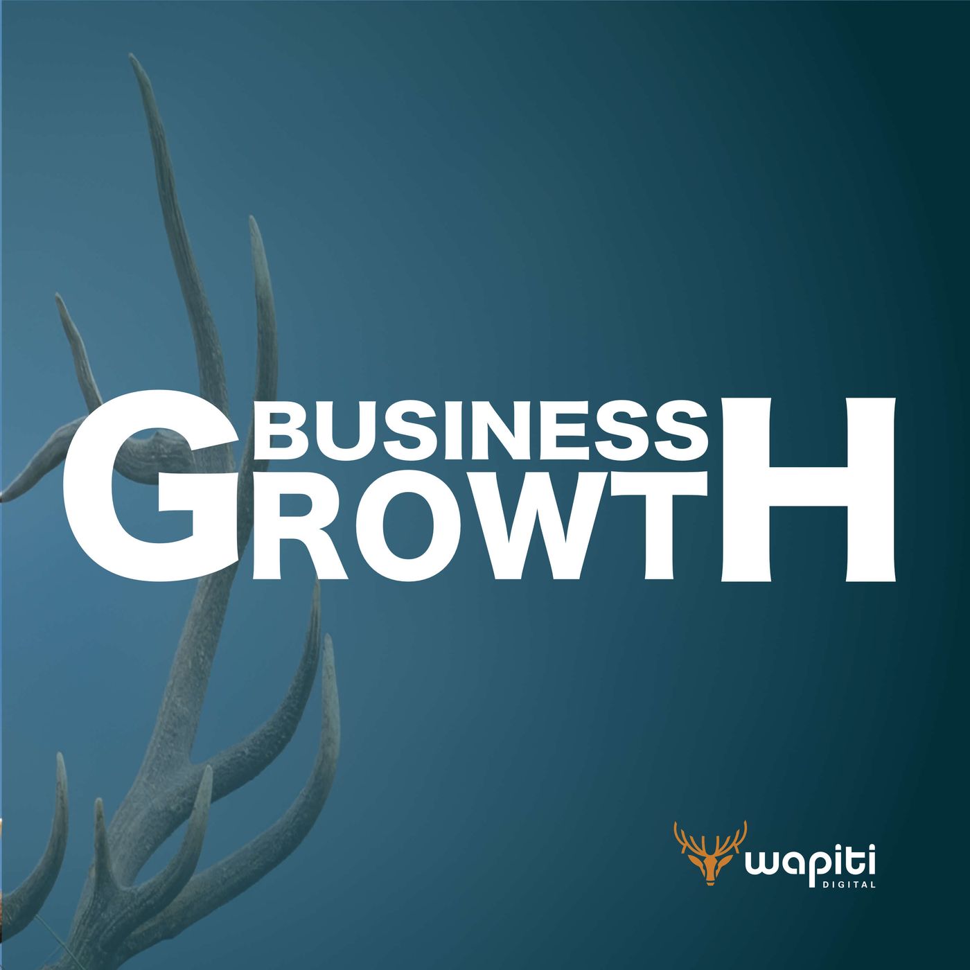 The Business Growth Podcast by Brand Shouter