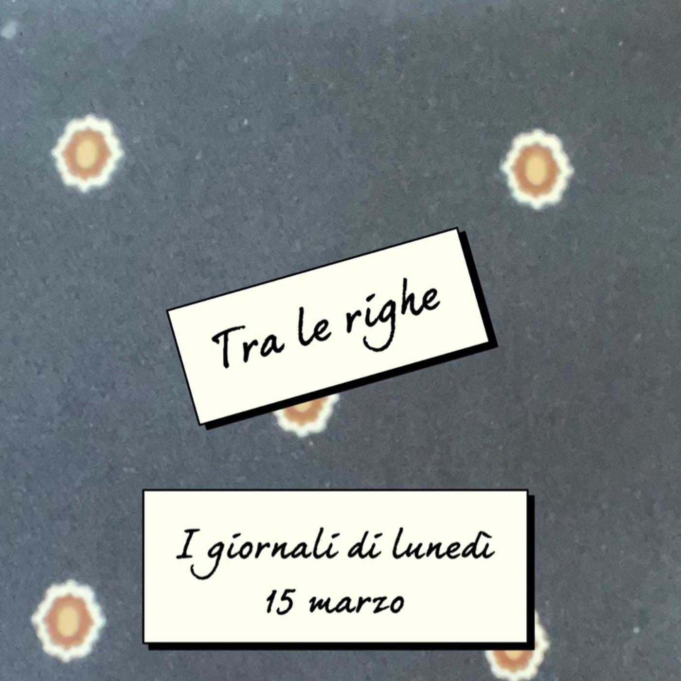 La rassegna stampa di Claudia de Lillo