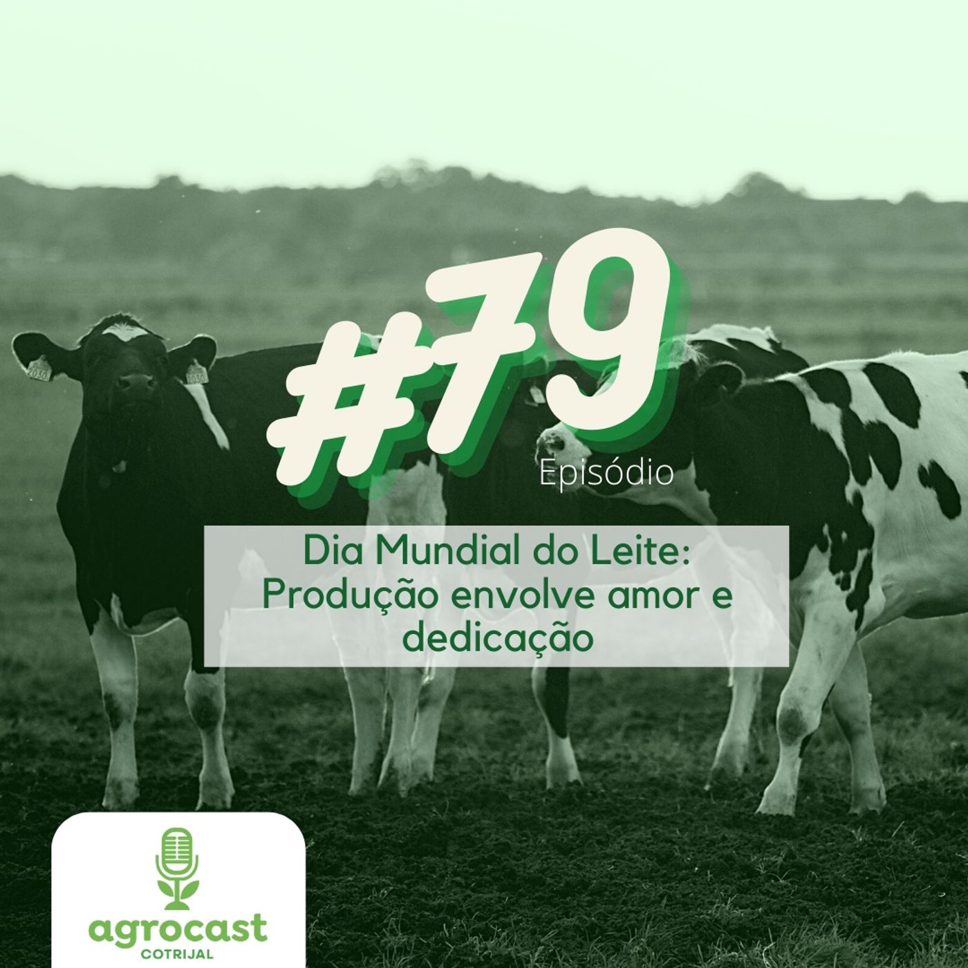 AgroCast Cotrijal