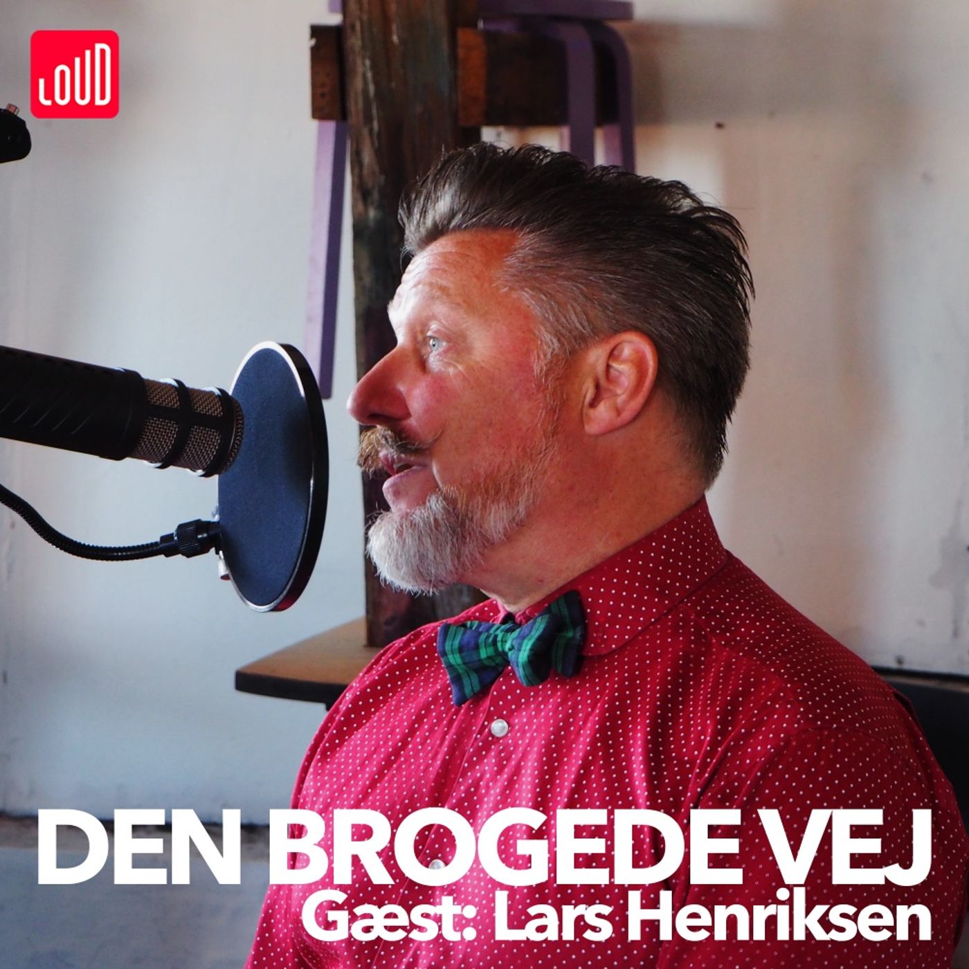 Den Brogede Vej