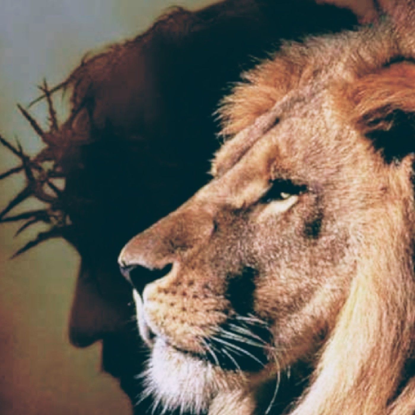 Lion Intercessor Jo's podcast