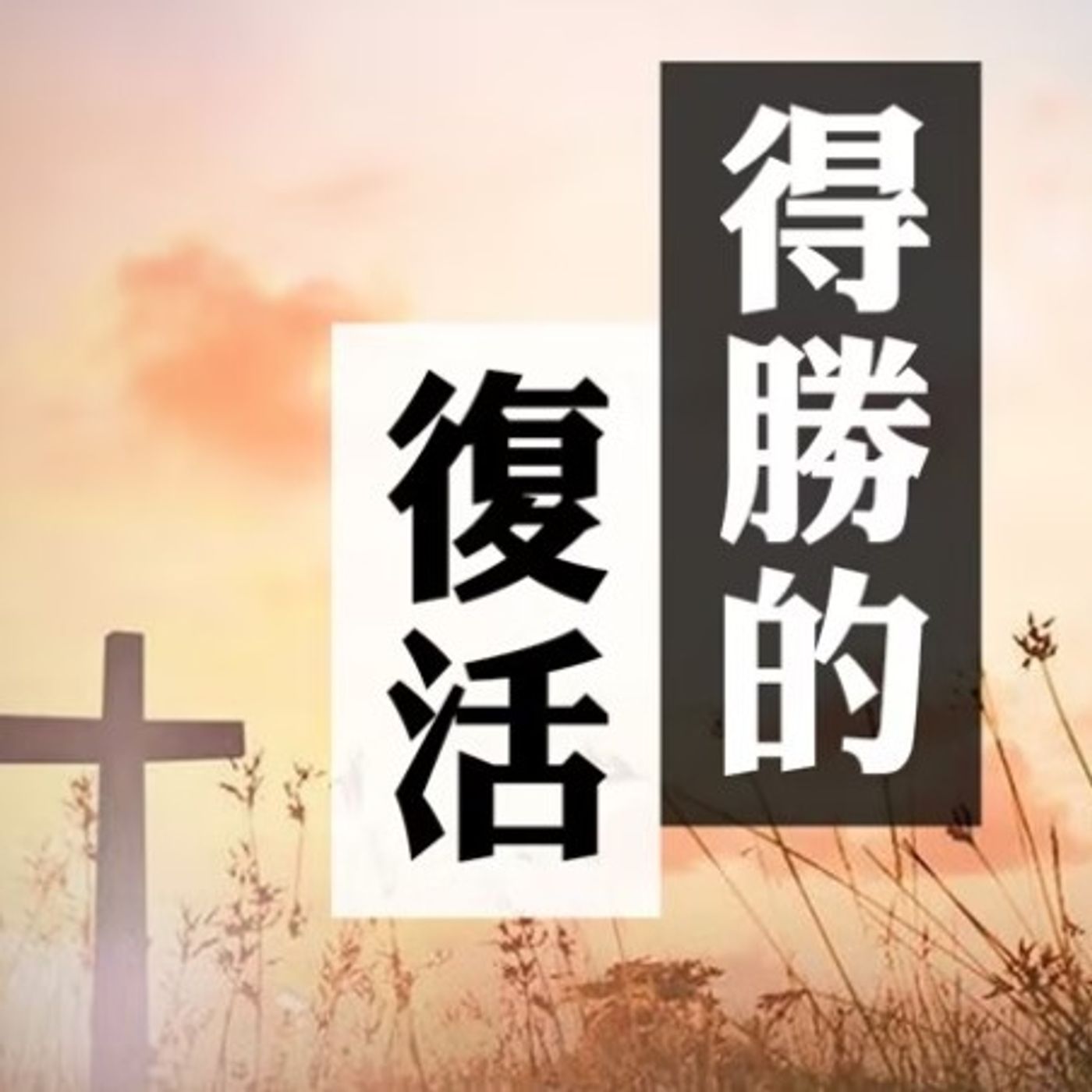 得勝的復活 | Jim Cheung episode artwork
