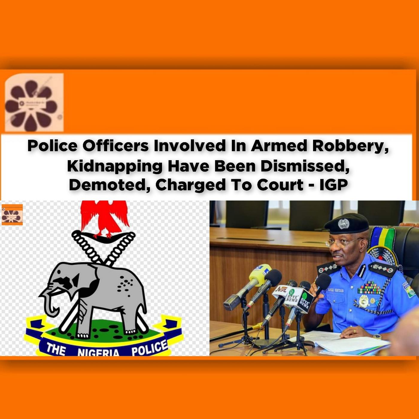 Police Officers Involved In Armed Robbery, Kidnapping Have Been Dismissed, Demoted, Charged To Court - IGP ~ OsazuwaAkonedo episode artwork