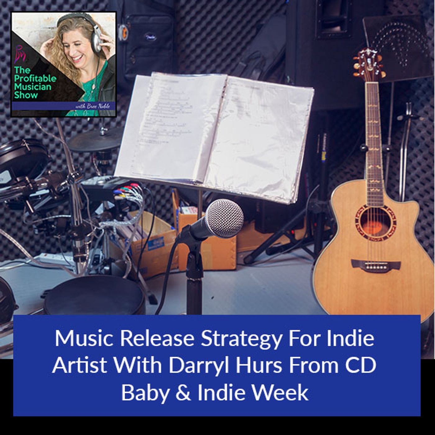 The Profitable Musician Show