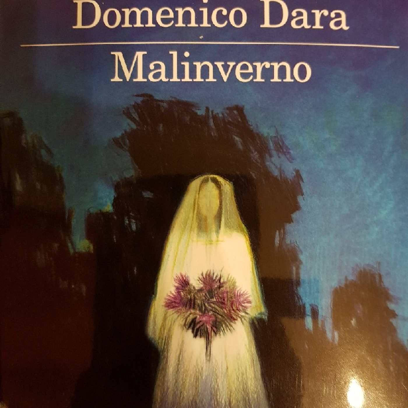 Domenico Dara : Malinverno