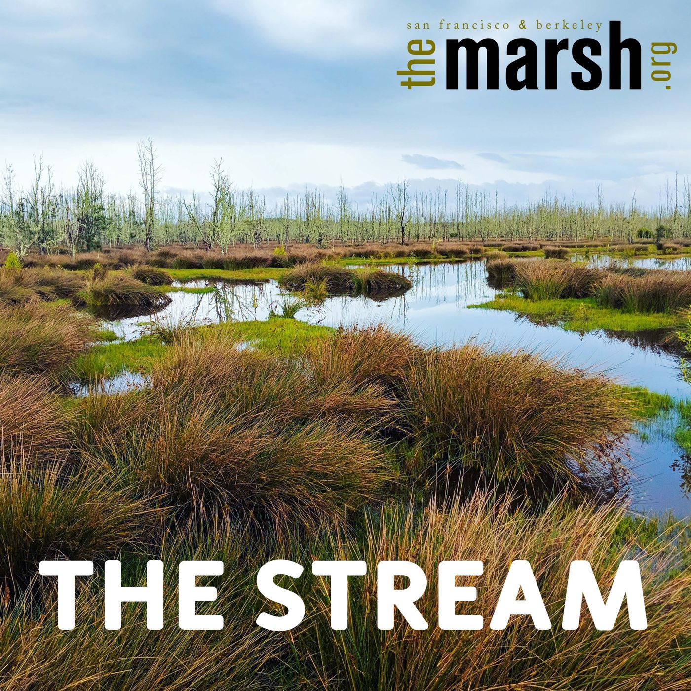 MarshStream, a podcast from The Marsh