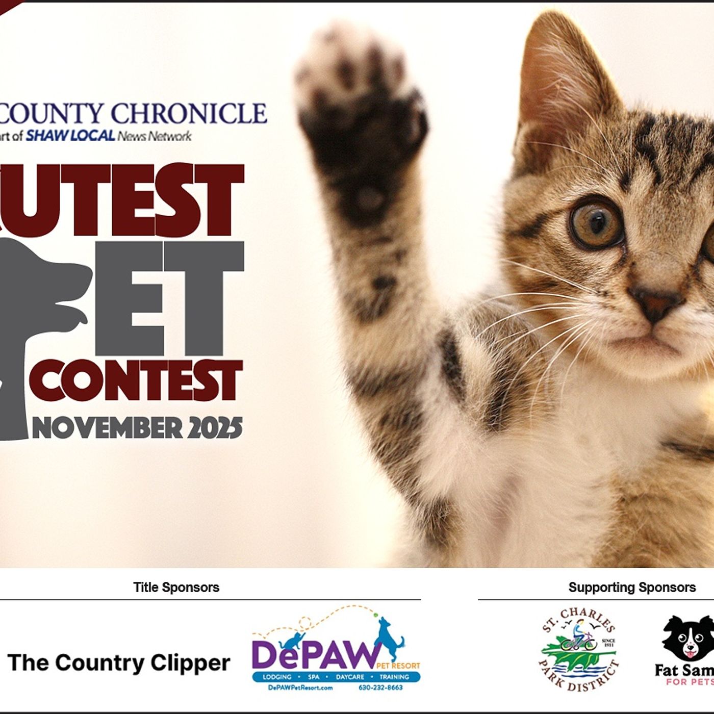 Kane County November Cutest Pet Contest episode artwork