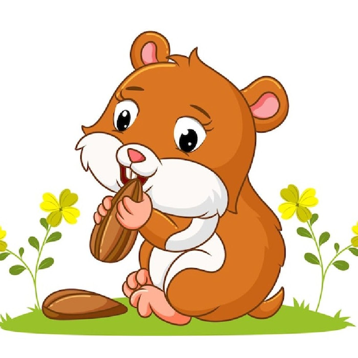 PeoplesLife ElSalvador (RadioDigital)