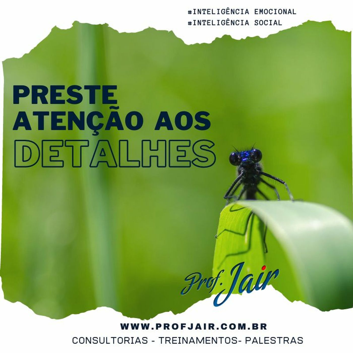 Palestrante Prof Jair