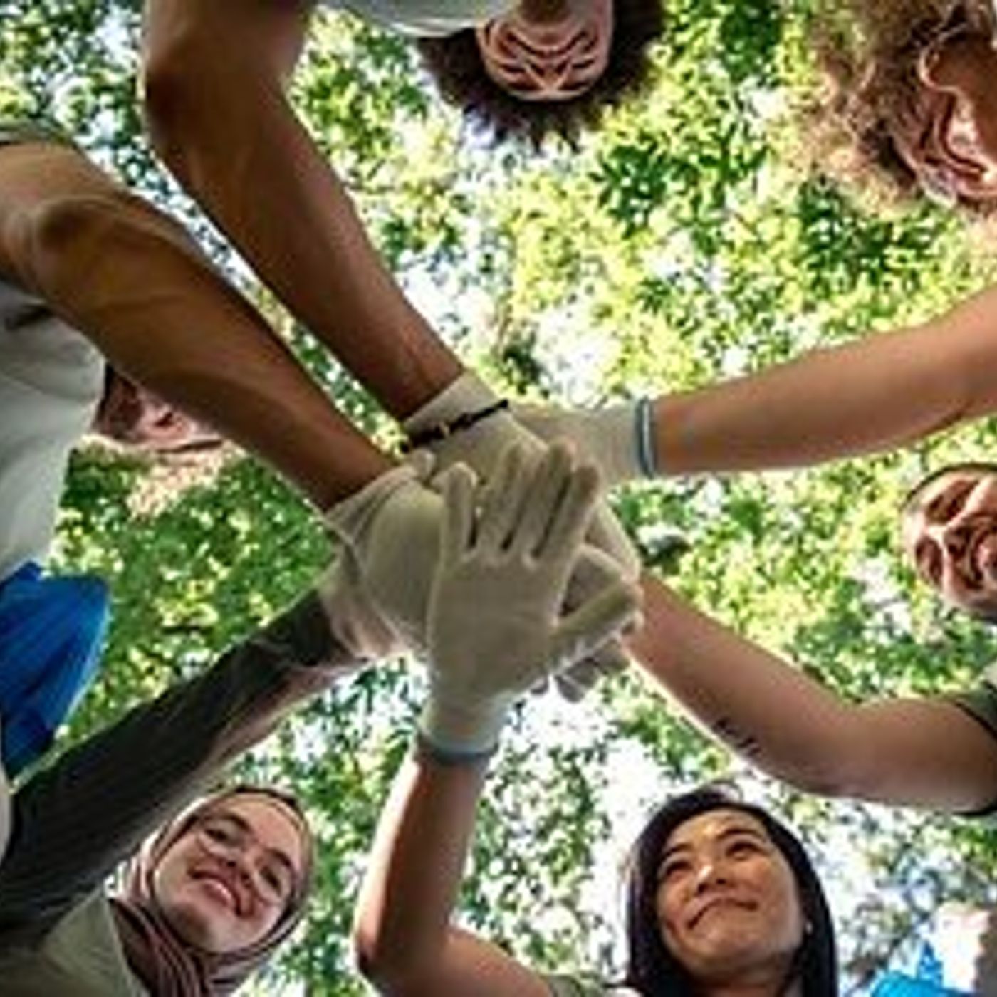University of Illinois Extension offers climate stewards training this fall episode artwork
