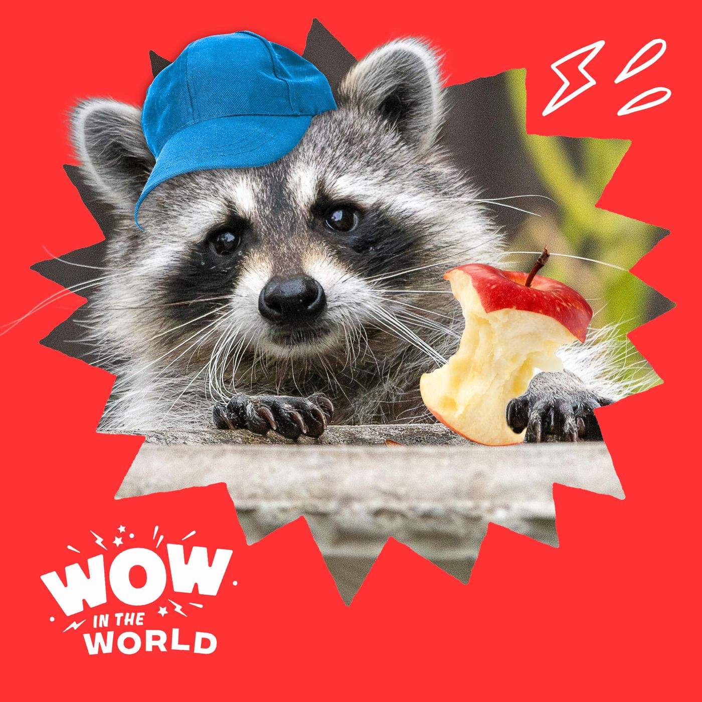 From Trash Can to Man’s Best Friend?: The Wild Science of Raccoon Domestication episode artwork