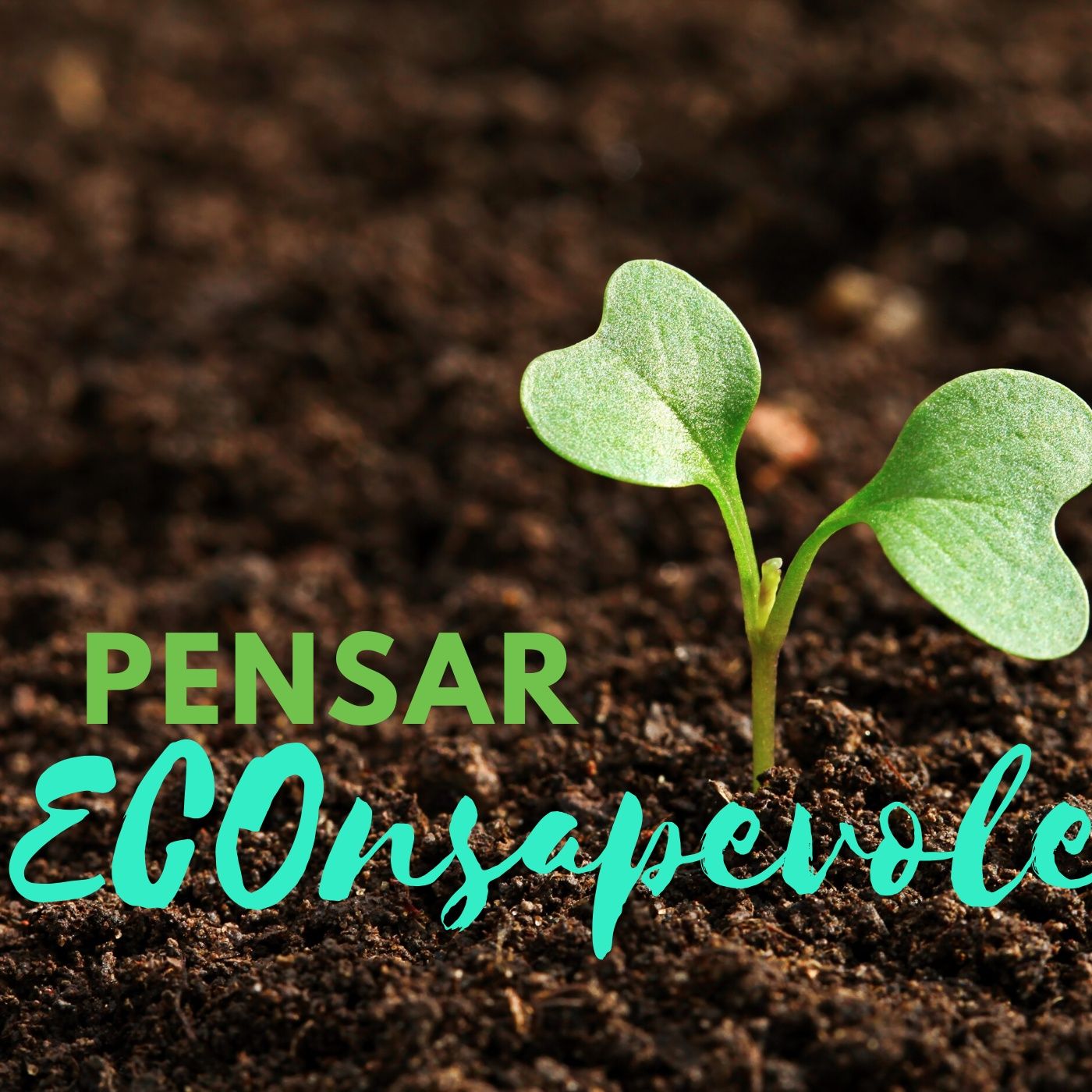 Pensar ECOnsapevole