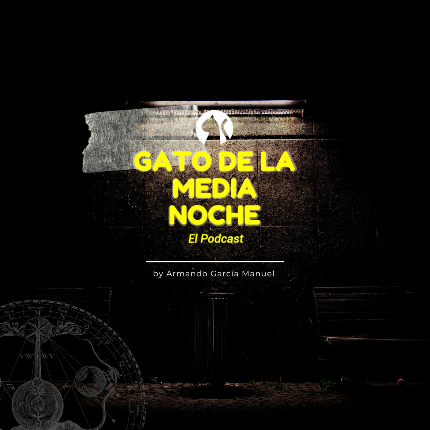 Gato de la Media Noche