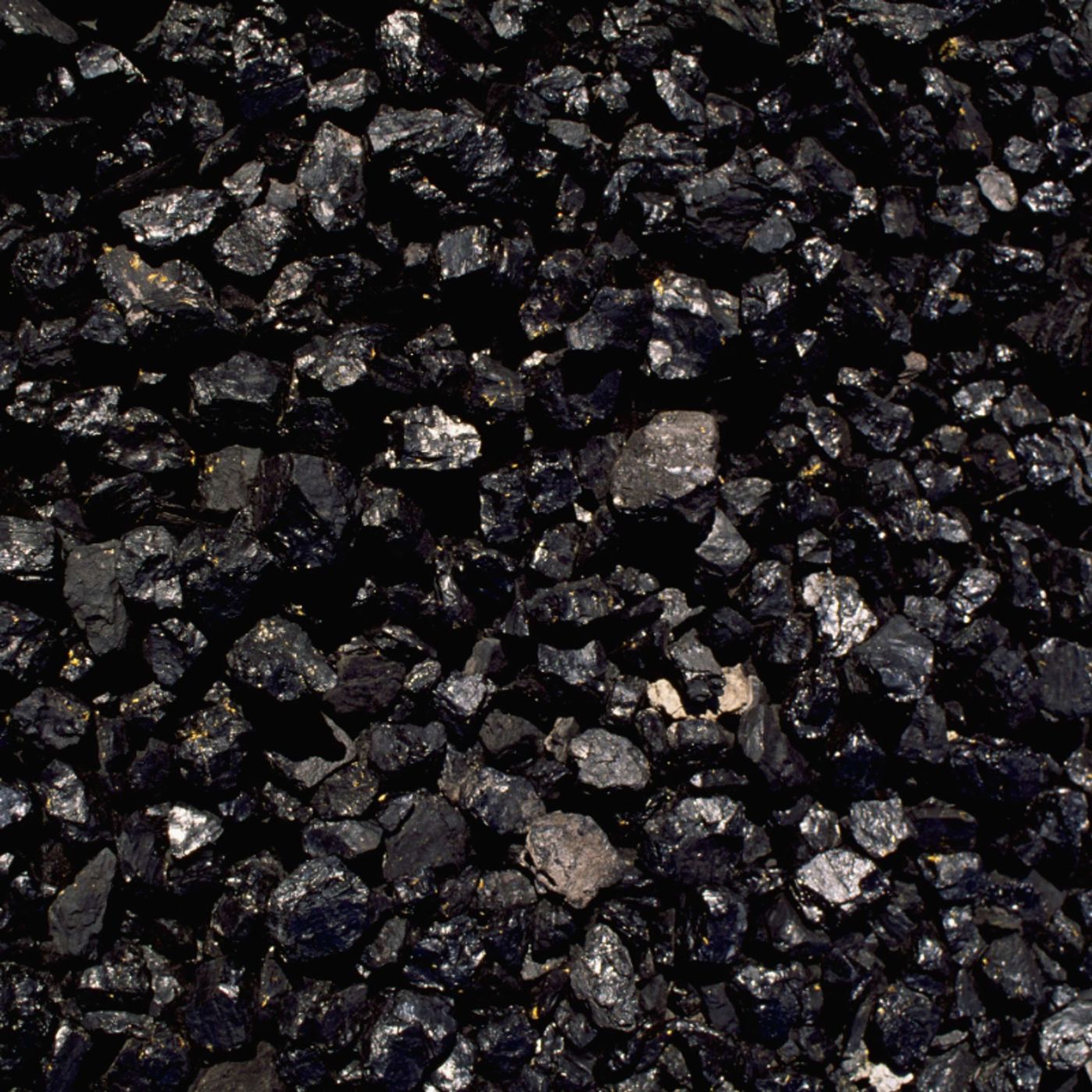 "Not So Fast," on Coal Closures, Its Still Vital To America (Guest: Matt Mackowiak) episode artwork