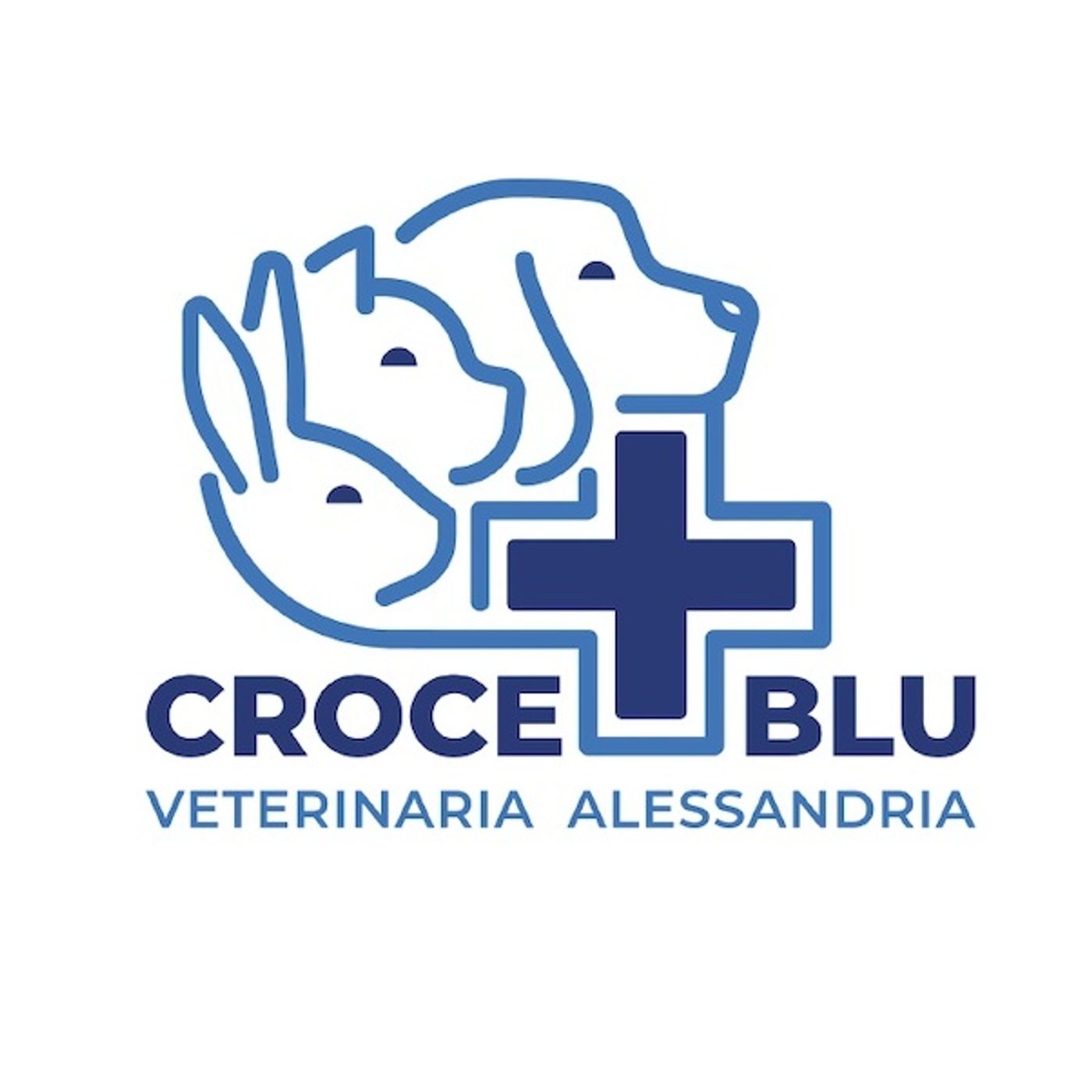Il percorso del veterinario episode artwork